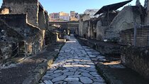 Herculaneum - Private Tour (skip-the-line admission included)