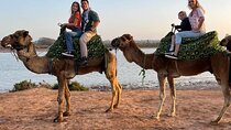  Camel Riding trip