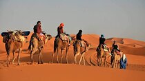 From Marrakech: 3Day Desert Tour From Marrakech to Fes