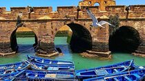 Essaouira Private Full-Day Trip from Marrakech (All-inclusive)