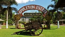 Appleton Rum Estate & YS Falls Combo Tour 