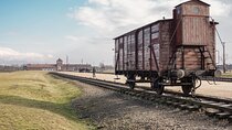 Auschwitz - Birkenau Private, 6-hr Study Tour