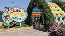 Dubai Butterfly Garden Entry Ticket Only