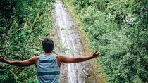 Manoa Waterfall Hike with Waikiki Pickup & Healthy Lunch