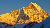 14-Day Private Annapurna Base Camp Trekking and Multi Activity