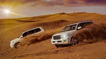 Morning Desert Safari - Dubai UAE (Private & Sharing)