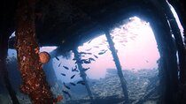 Try Diving in Tulamben - Shipwreck