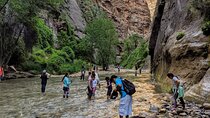 Zion National Park Small Group Tour from Las Vegas