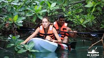 Kayak Tour at Sunset in Cancun