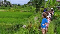 VILLAGE TOUR & RICE FIELDS TREKKING Jambangan Bali