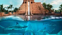Atlantic Aquaventure Water Park - Dubai UAE (Shared)