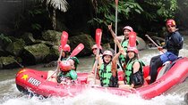 Ubud : Ayung River Rafting & Jungle swing 