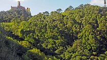 Rock Climbing in Sintra, Lisbon