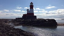 Farne Islands Longstone Lighthouse 2-Hour Trip from Seahouses