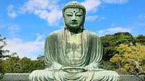 Kamakura Private walking tour (with local experience in option)