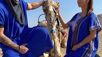  Overnight in Marrakech Desert Camp Camel Trekking All inclusive