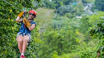 Jungle Buggies & Ziplining from Punta Cana