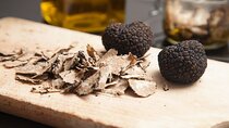 Truffle Search with Lunch or Dinner in Tuscany