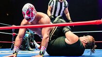 Lucha Libre, Pulque and Tacos Tour in Mexico City