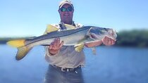 Full-Day Private Guided Fishing Charter in Florida’s Gulf Coast