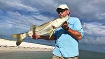 Half-Day Private Guided Fishing Charter to Florida’s Gulf Coast