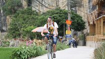 Ninh Binh luxury Day trip to Mua Cave, Tam Coc, Bich Dong, Boat & Bike