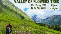 Valley Of Flowers Trek