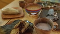 Mexican Food Gastronomic Tour - Mexico City