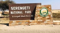 4 Days /3 nights Tarangire, Serengeti and Ngorongoro crater 