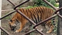 Private Central Zoo Tour in Kathmandu