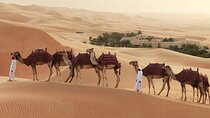 4hrs Dubai Morning Private 4x4 Jeep Only Dunes Drive Camel Ride