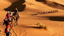 The Majestic merzouga desert experience 