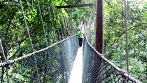 Taman Negara Day Tour with Canopy Walk