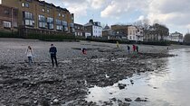 Thames Beachcombing