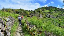 Hike - Nature and Villages of Shisto da Lousa