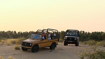 Dubai: Morning Heritage Safari by Vintage G Class & Al Marmoom Oasis