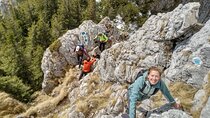Piatra Craiului National Park Private Hiking Tour from Brasov