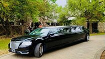 Texas Hill Country Group Wine Tour by Limousine
