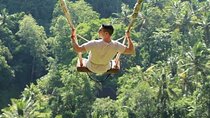 Private Tour Bali Swing & Visiting Temples in Bali