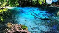 Jungle Tour to Emerald Pool, Krabi Hot Spring and Tiger Cave Temple
