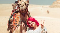 Day Tour Giza Pyramids by Camel In Egypt