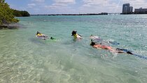 Beginner Friendly Island Snorkeling
