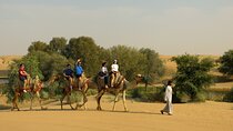 Dubai: Camel Caravan, Bedouin Breakfast with Al Marmoom Oasis 