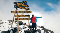Climbing Kilimanjaro through 7 days Machame Route