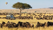 3 Days Masai Mara Group Safaris