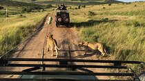 3 Days Private Tour at Masai Mara National Reserve