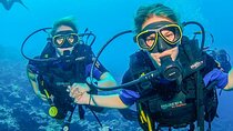  Scuba Diving Adventure in Dubai 