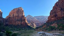 Zion National Park: Private Guided Hike & Picnic