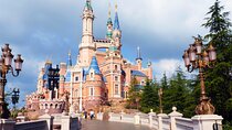 DisneyLand/Sea Ticket & Private Morning Ride from Hotel in Tokyo!