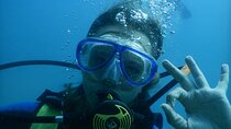 SSI Open Water Diver Course